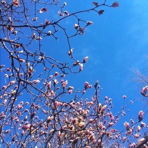 Meet your Posher, Lex. This is a framable poster.