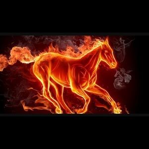 Meet your Posher, Elvin