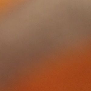 Meet your Posher, Suki