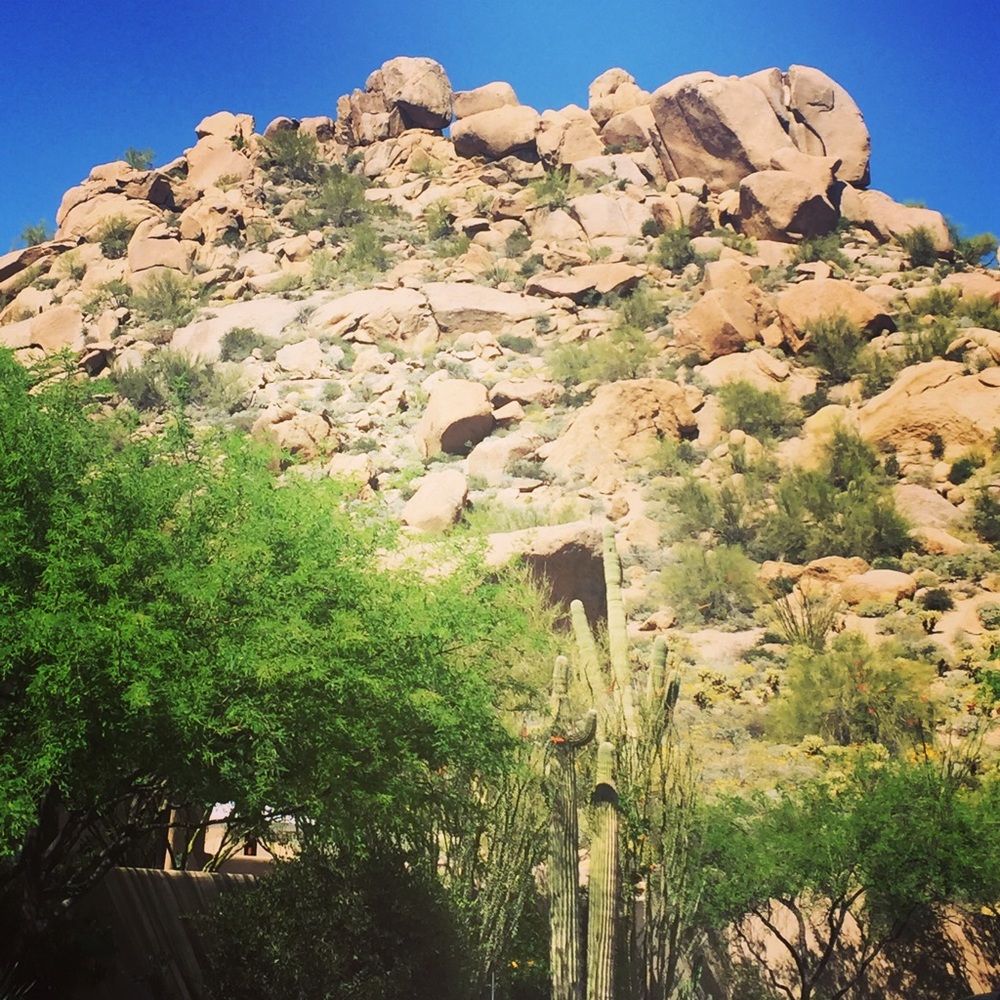 Meet your Posher, Erin