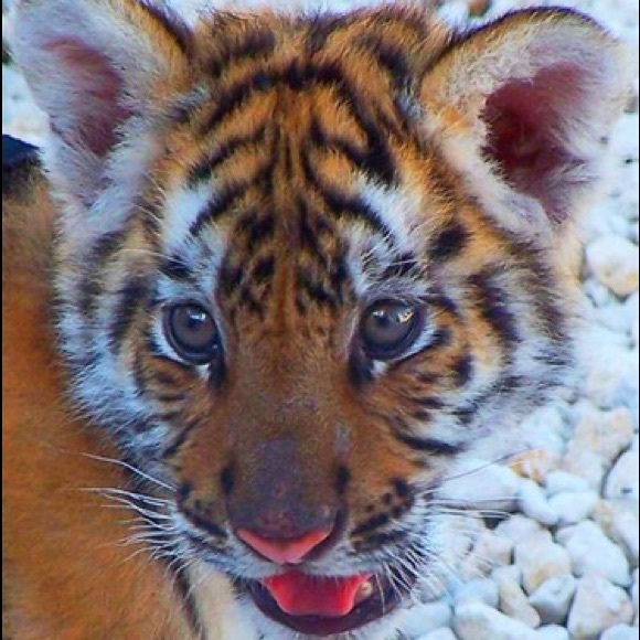 Meet your Posher, Drew - Picture 5 of 5