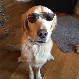 Meet your Posher, Jordan