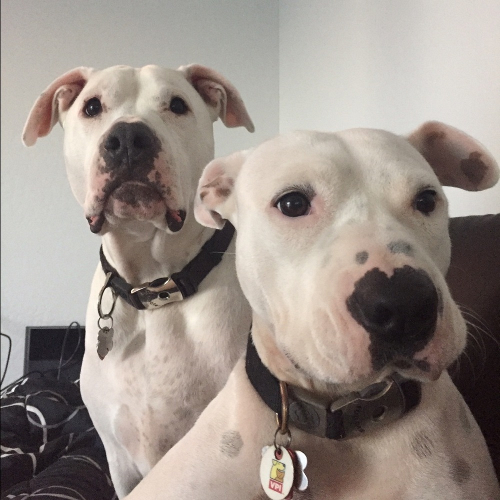 Meet your Posher, Vyara