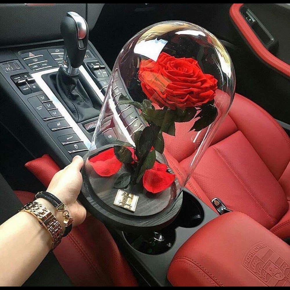 Meet your Posher, Kizzie