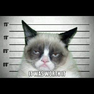 Meet your Posher, Rashelle