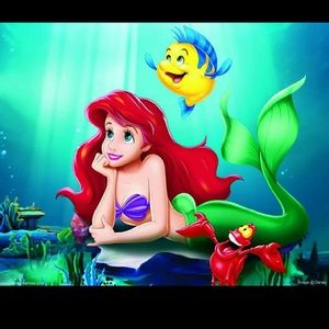 Meet your Posher, Bobbie