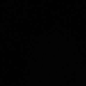 Meet your Posher, Callie