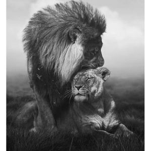 Meet your Posher, Cassandra