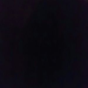 Meet your Posher, Bridget