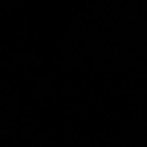 Meet your Posher, Shyla