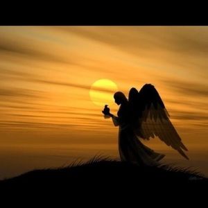 Meet your Posher, Eli