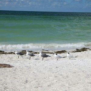 Meet your Posher, Nadia