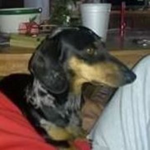 Meet your Posher, Melina