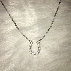 U shaped Horseshoe necklace