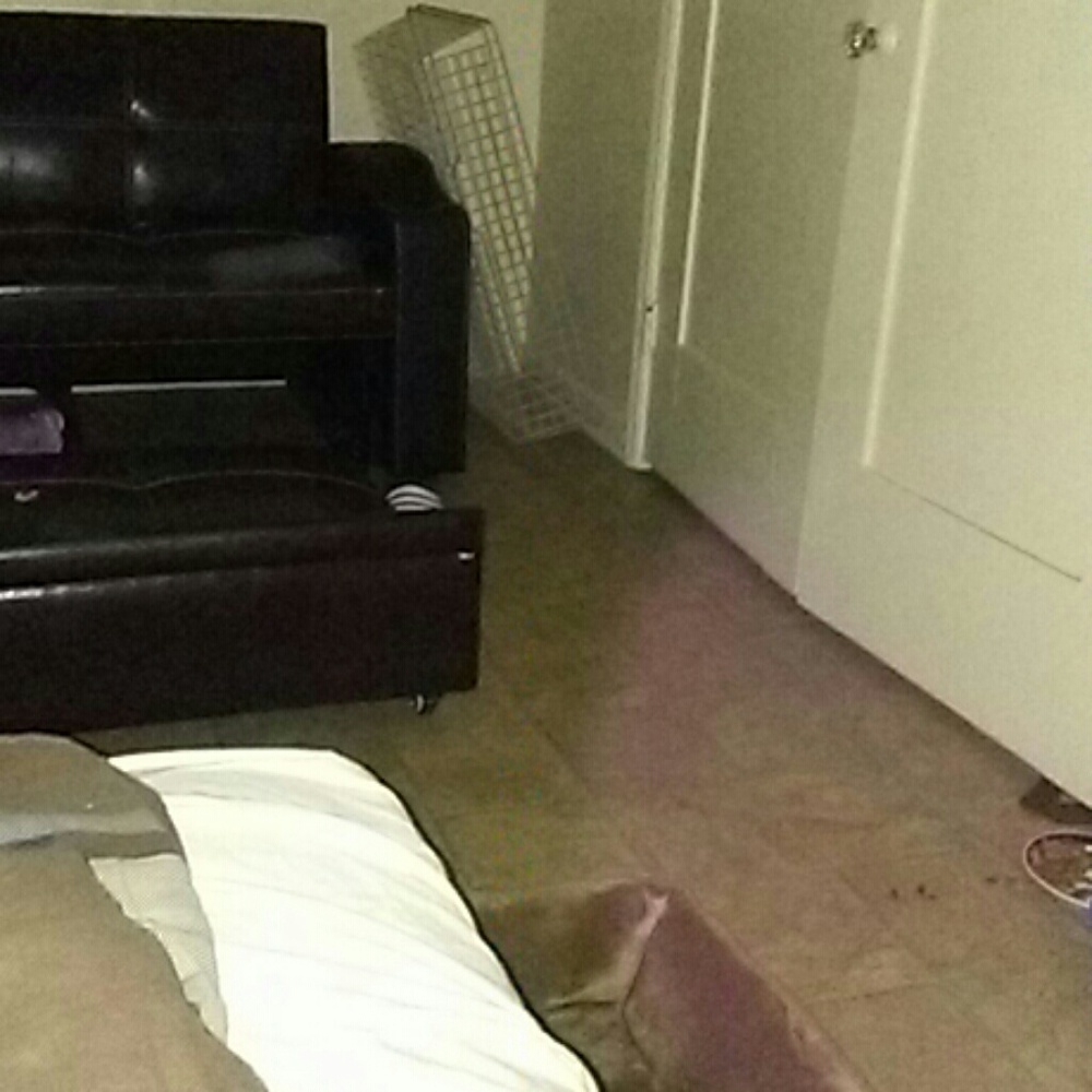 Meet your Posher, Janine