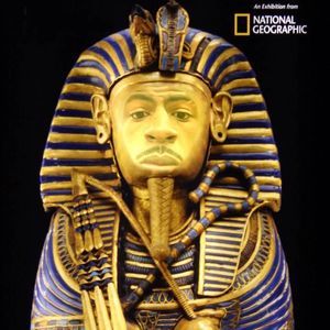 Meet your Posher, Lamar