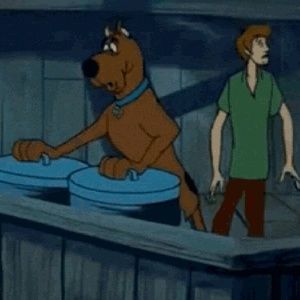 Meet your Posher, Matt