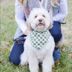 Meet your Posher, Jodi