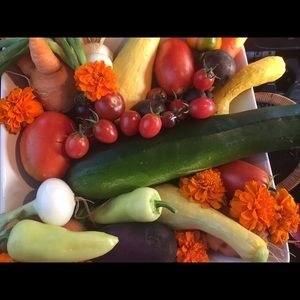 Meet your Posher, Ronna