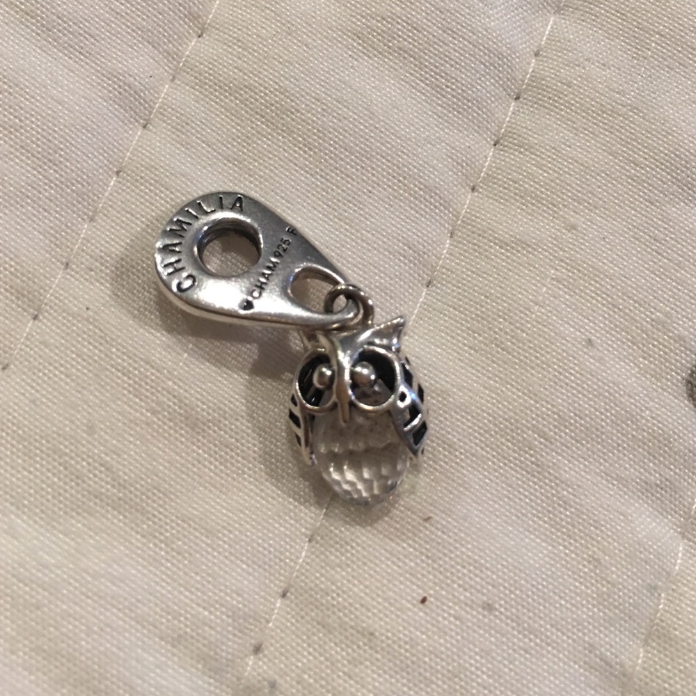Chamilia owl charm