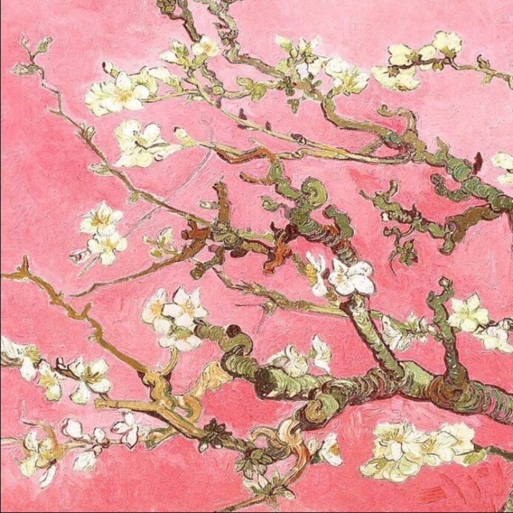 Meet your Posher, Ashlee