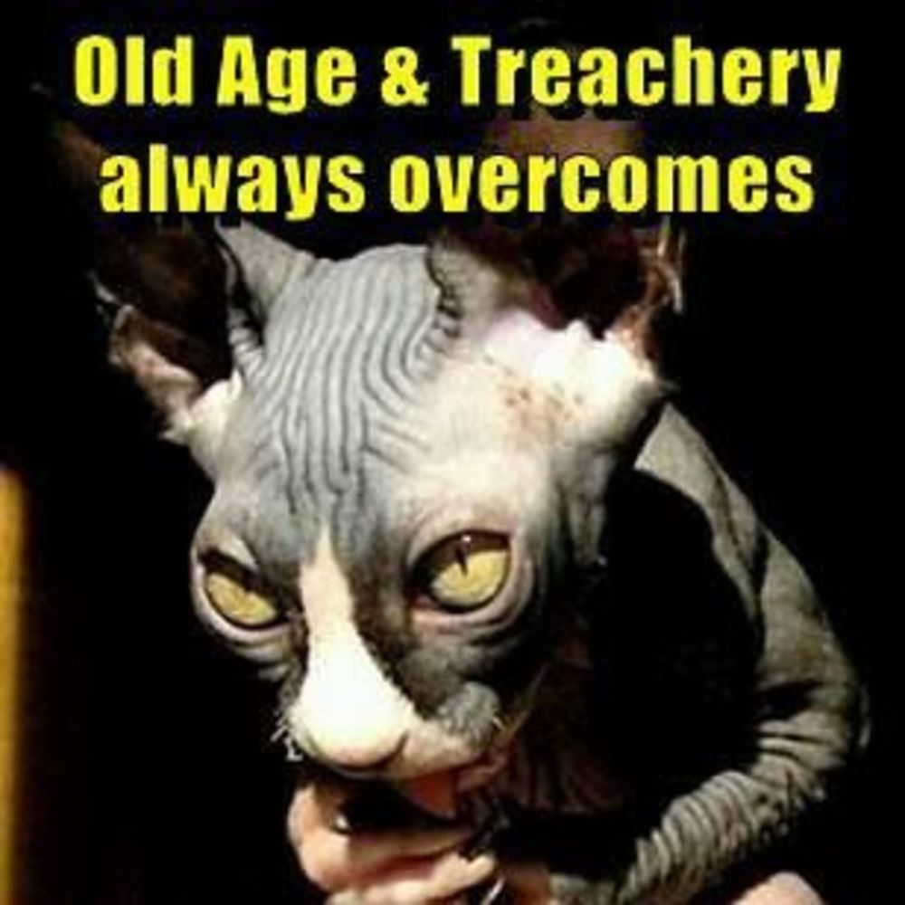 Meet your Posher, Theresa