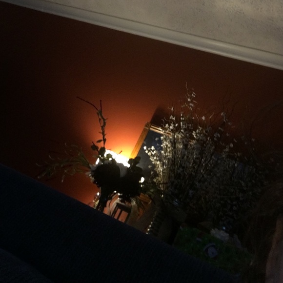 Meet your Posher, Madisyn - Picture 1 of 1