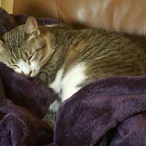 Meet your Posher, Shannon