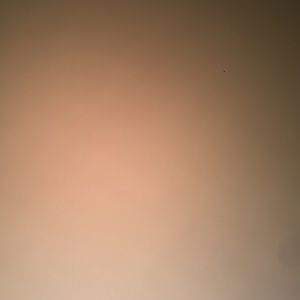 Meet your Posher, Avery