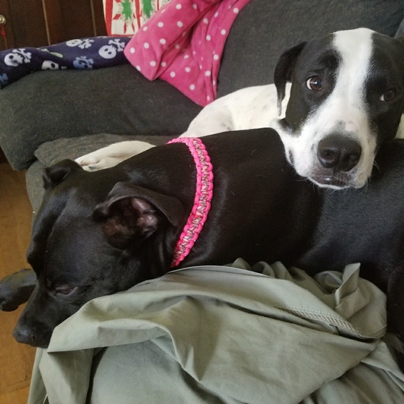 Meet your Posher, Krystle - Picture 5 of 8