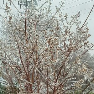 Meet your Posher, Corinna