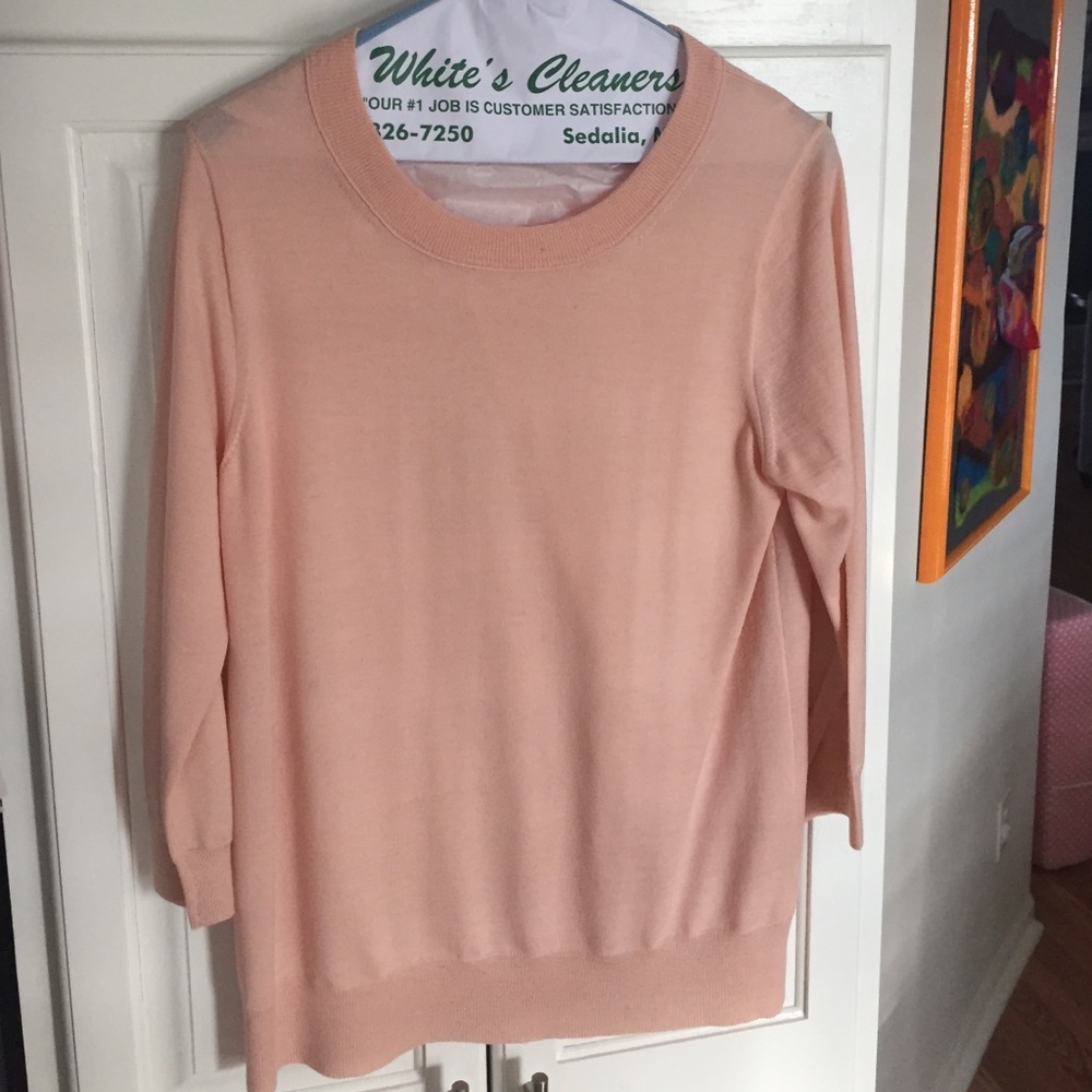 Jcrew Tippie sweater