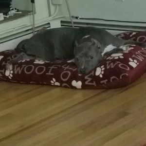 Meet your Posher, Ella