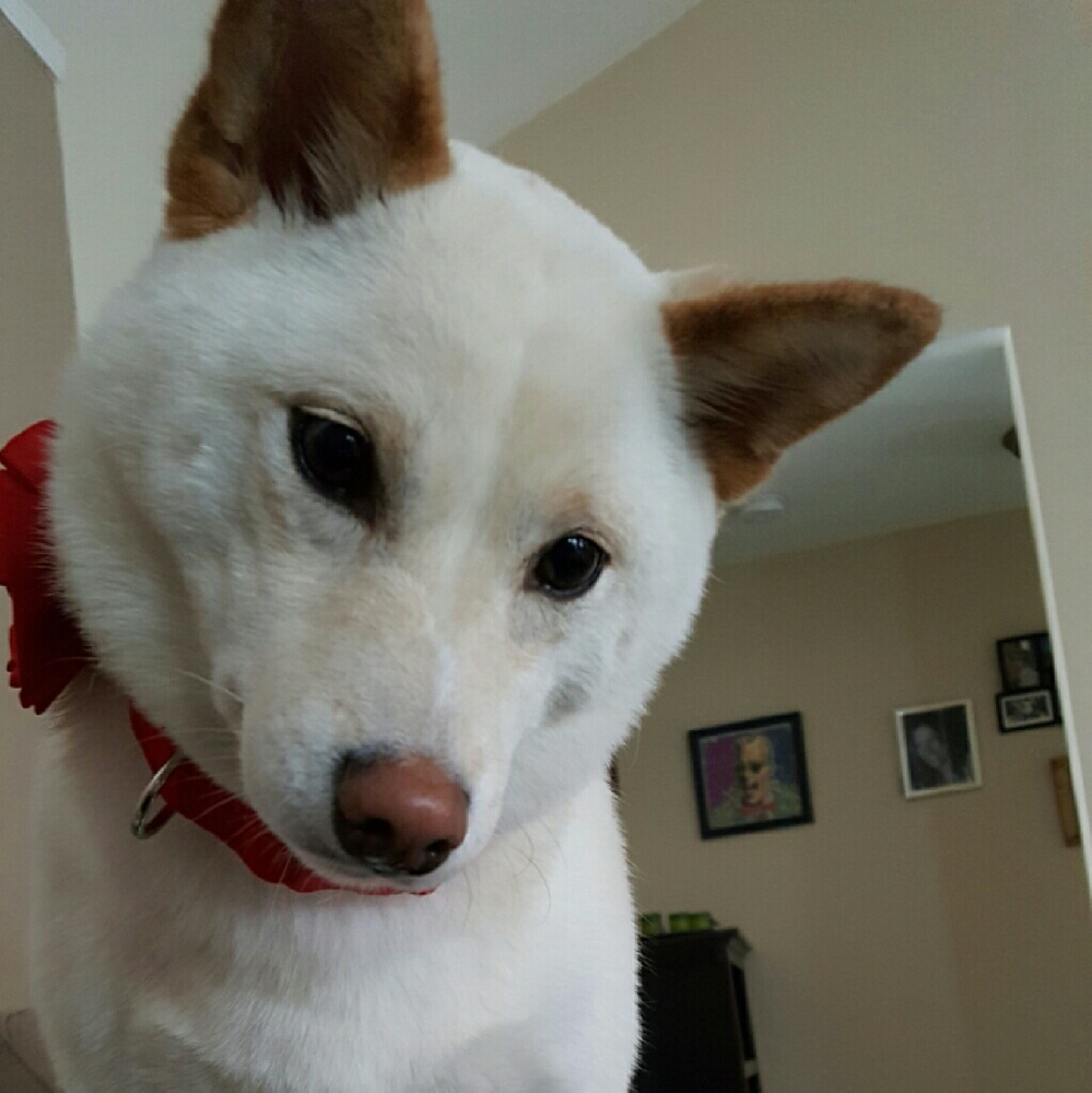 Meet your Posher, Theresa