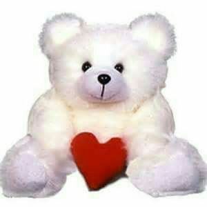 Meet your Posher, Enid