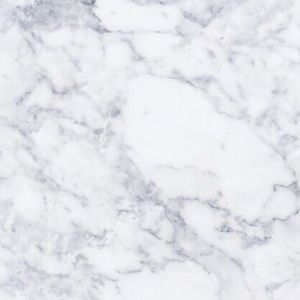 Meet your Posher, Sophia