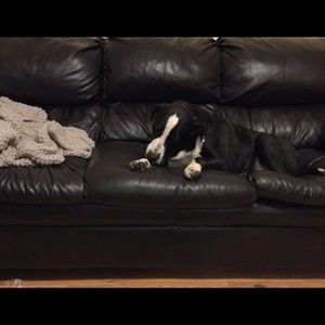 Meet your Posher, Wendy