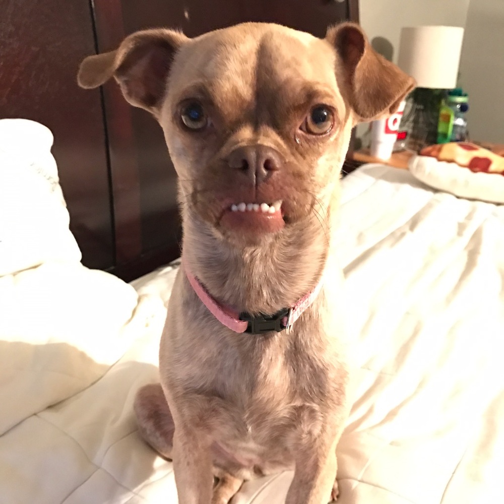 Meet your Posher, Andrea