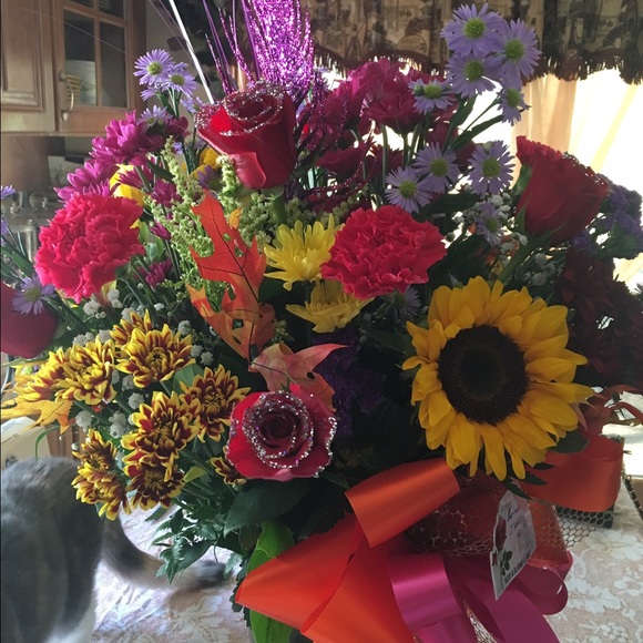 Meet your Posher, Laura - Picture 1 of 1