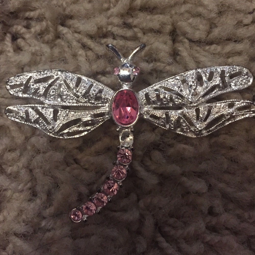 Dragon fly pin