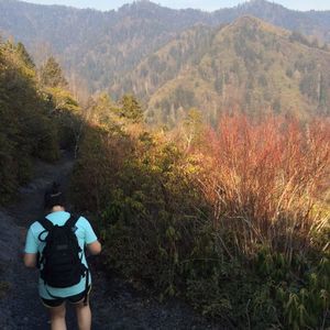 Meet your Posher, Angelica