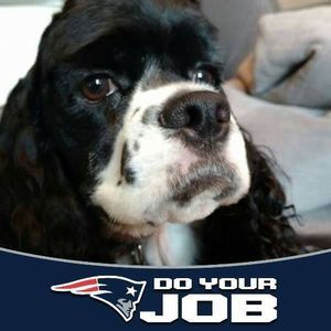 Meet your Posher, Bonnie