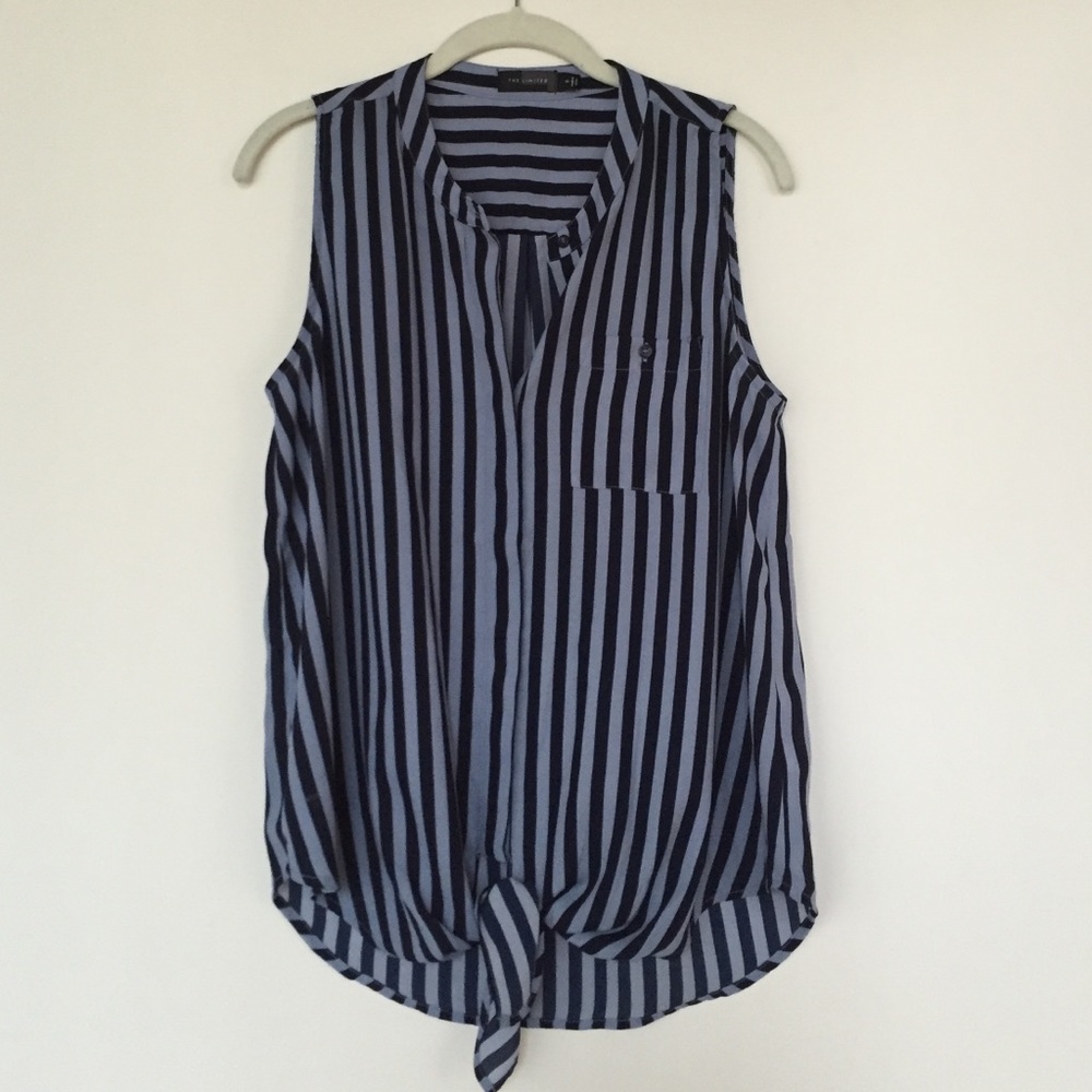 The Limited Blouse