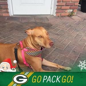 Meet your Posher, Penny