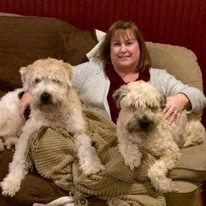 Meet your Posher, Monica