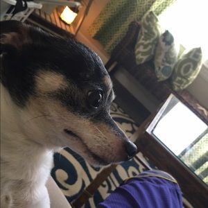 Meet your Posher, Evan