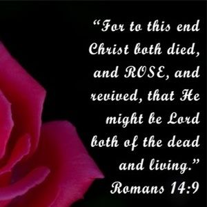 Meet your Posher, Autumn