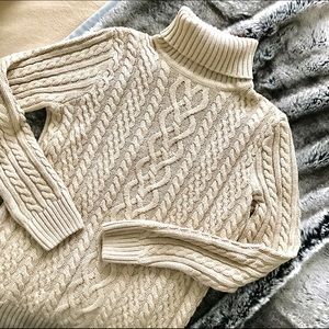 Chunky Knit Turtle Neck