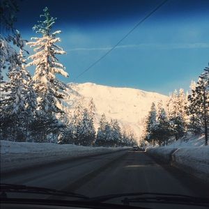 Meet your Posher, Carlee