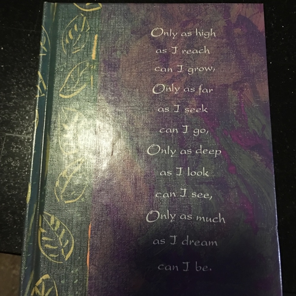 Journal- never used-- blank pages